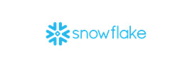 snow logo