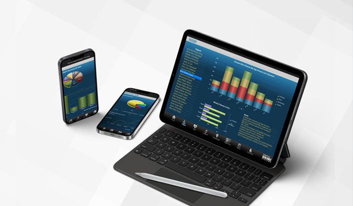 Mobile Business Intelligence